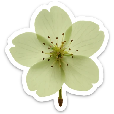 show  one green cherry blossom, remove background sticker