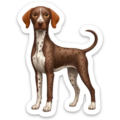 orange spotted face and back german short haired pointer docked tail sticker