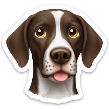 Brown German short haired pointer  with ticking sticker