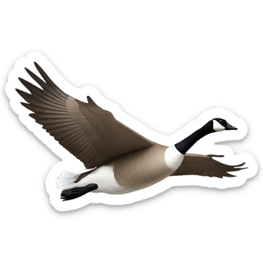 Canadian goose flying sticker