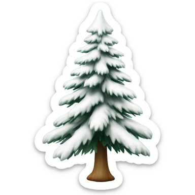  actual white fir christmas tree isolated.  sticker