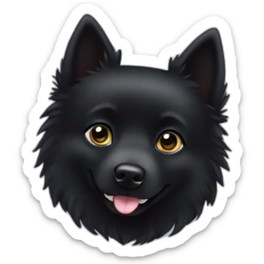 Black schipperke with only black hair sticker