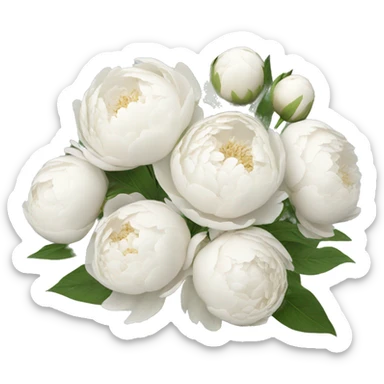 White peonies bouquet  sticker