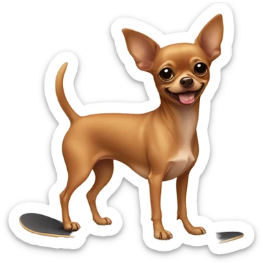brown chihuahua with no legs on a skateboard sticker
