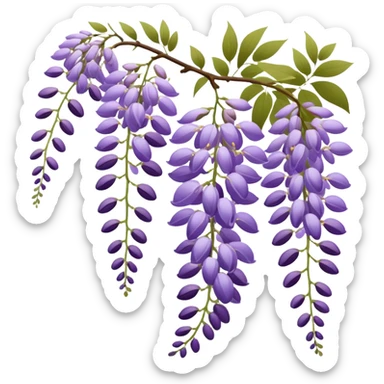 Japanese style wisteria (fuji) flower in elegant ukiyo-e inspired design, cascading purple blooms hanging like in traditional Japanese gardens, with gentle curved lines sticker