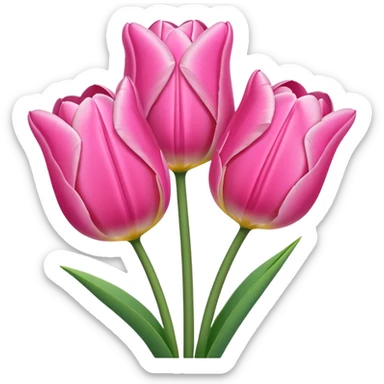 Pink tulips sticker