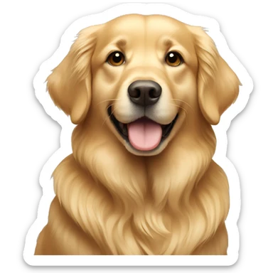 Golden retriever  sticker