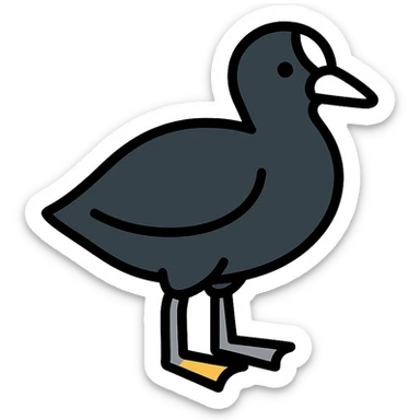 black coot bird, a duck with black feathers, white beak, and grey legs sticker