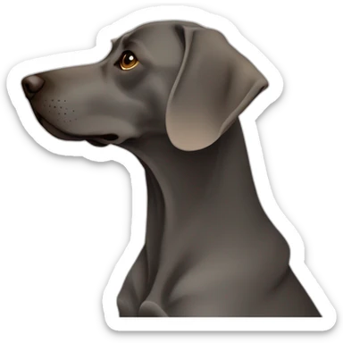 shorthair weimaraner profile silhouete sticker