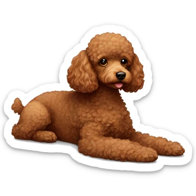Brown toy poodle laying sticker