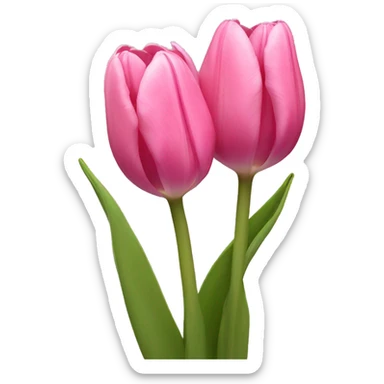 pink tulips sticker