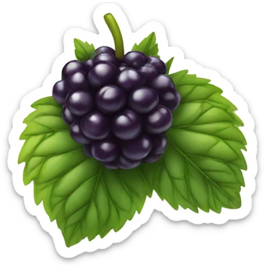 blackberry fruit with eye and smile sticker