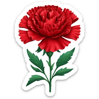 Red carnation sticker