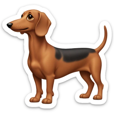 Sausage dog sticker