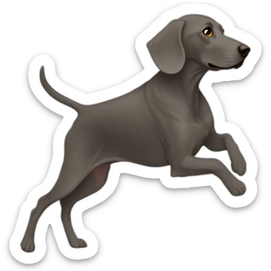 weimaraner silhouet run sticker