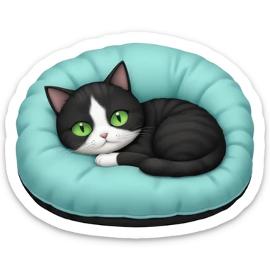 tuxedo short haired cat with green eyes sleeping in a lightblue pillow sticker