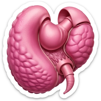 male reproductive organ sticker