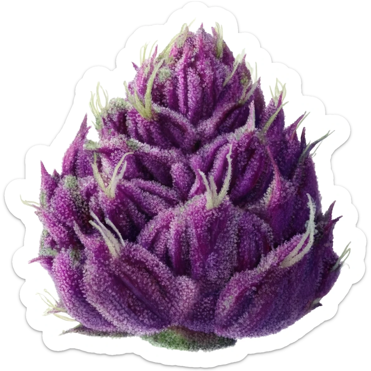 Purple weed nug sticker