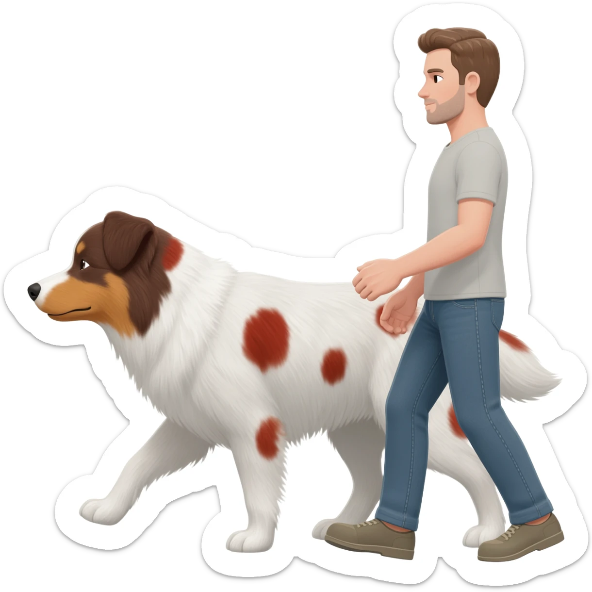 A man dog walker with an Aussie white with red and brown staines sticker