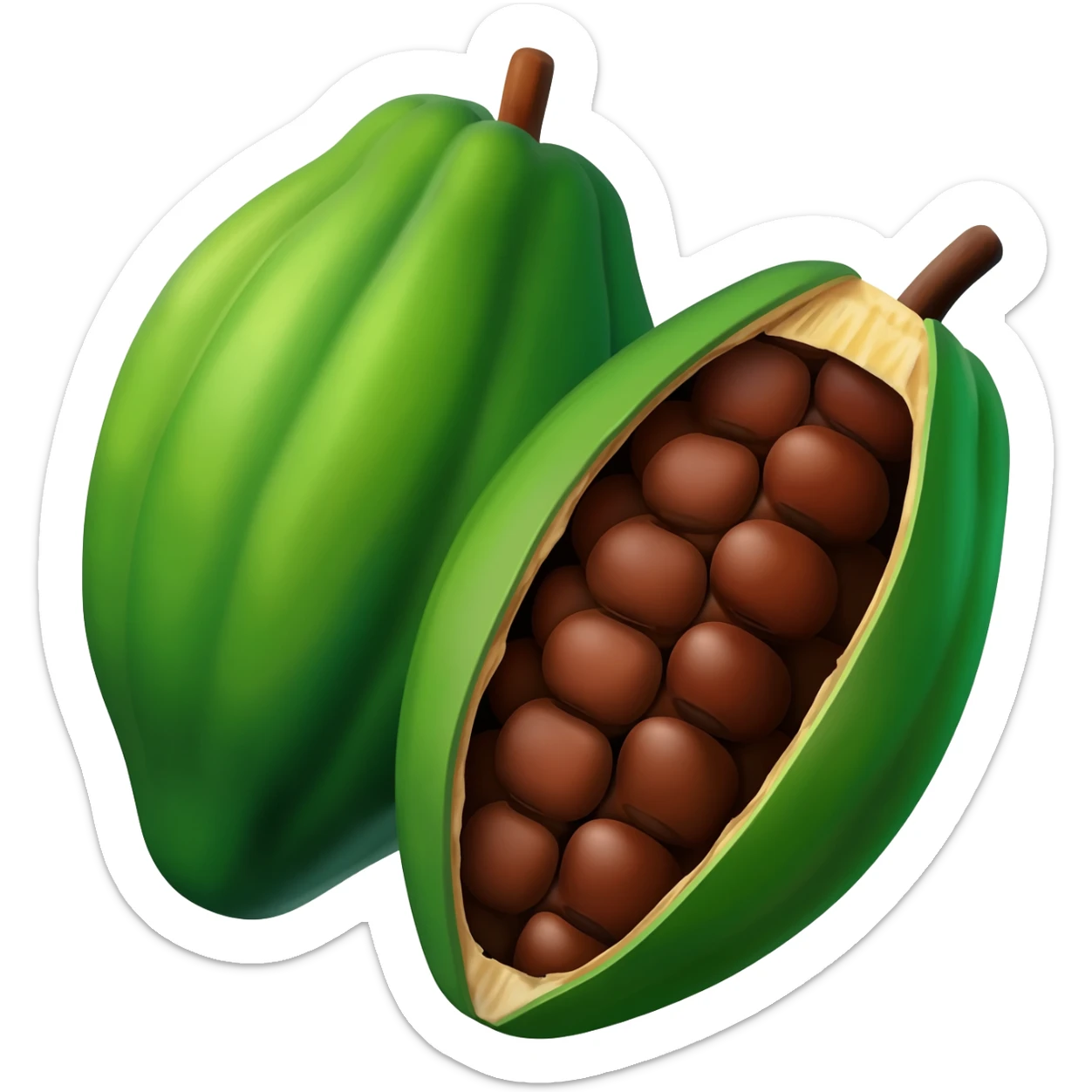 Cacao fruit sticker