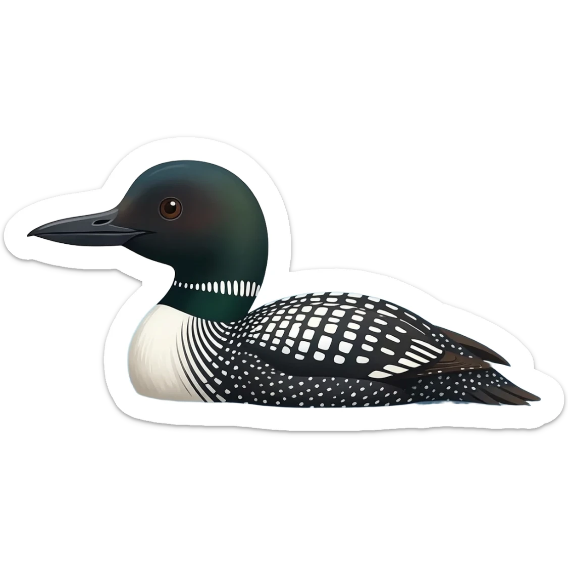 Loon on water sticker