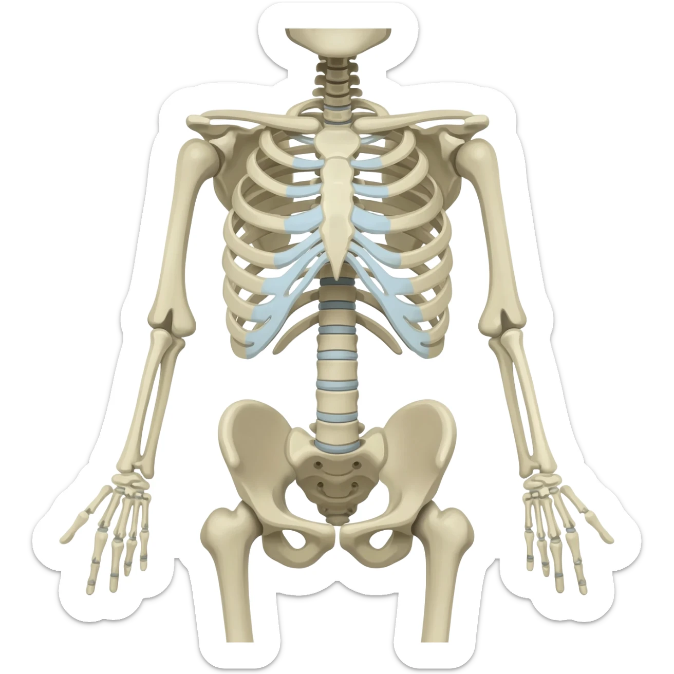 Skeleton sticker