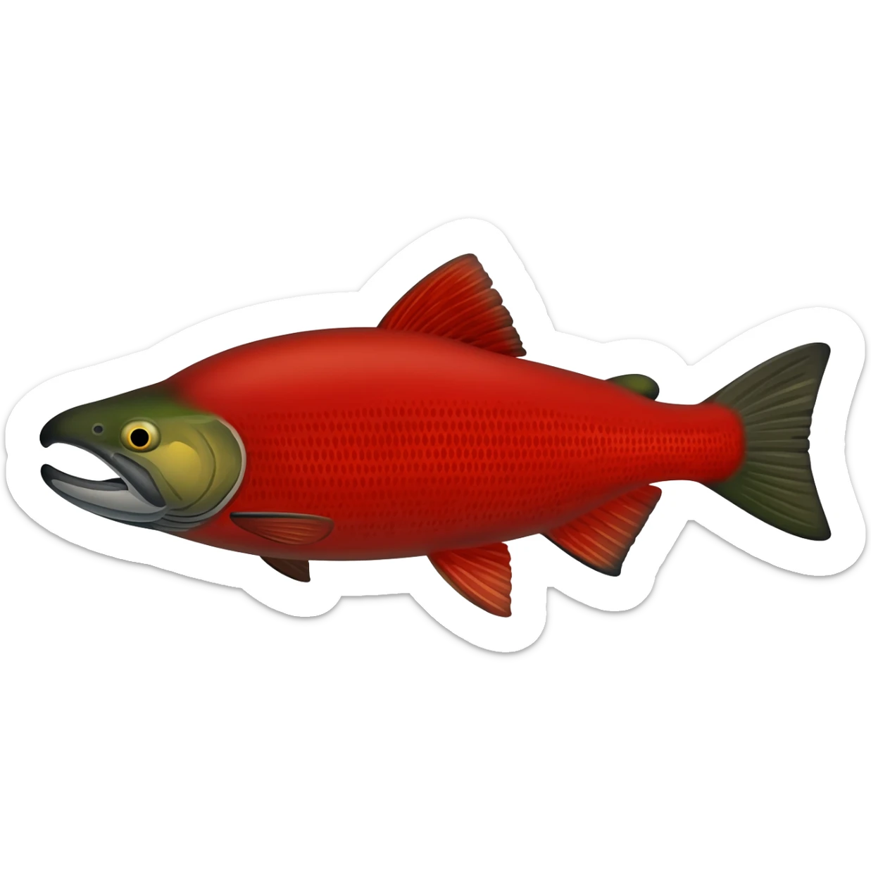 red kokanee salmon sticker