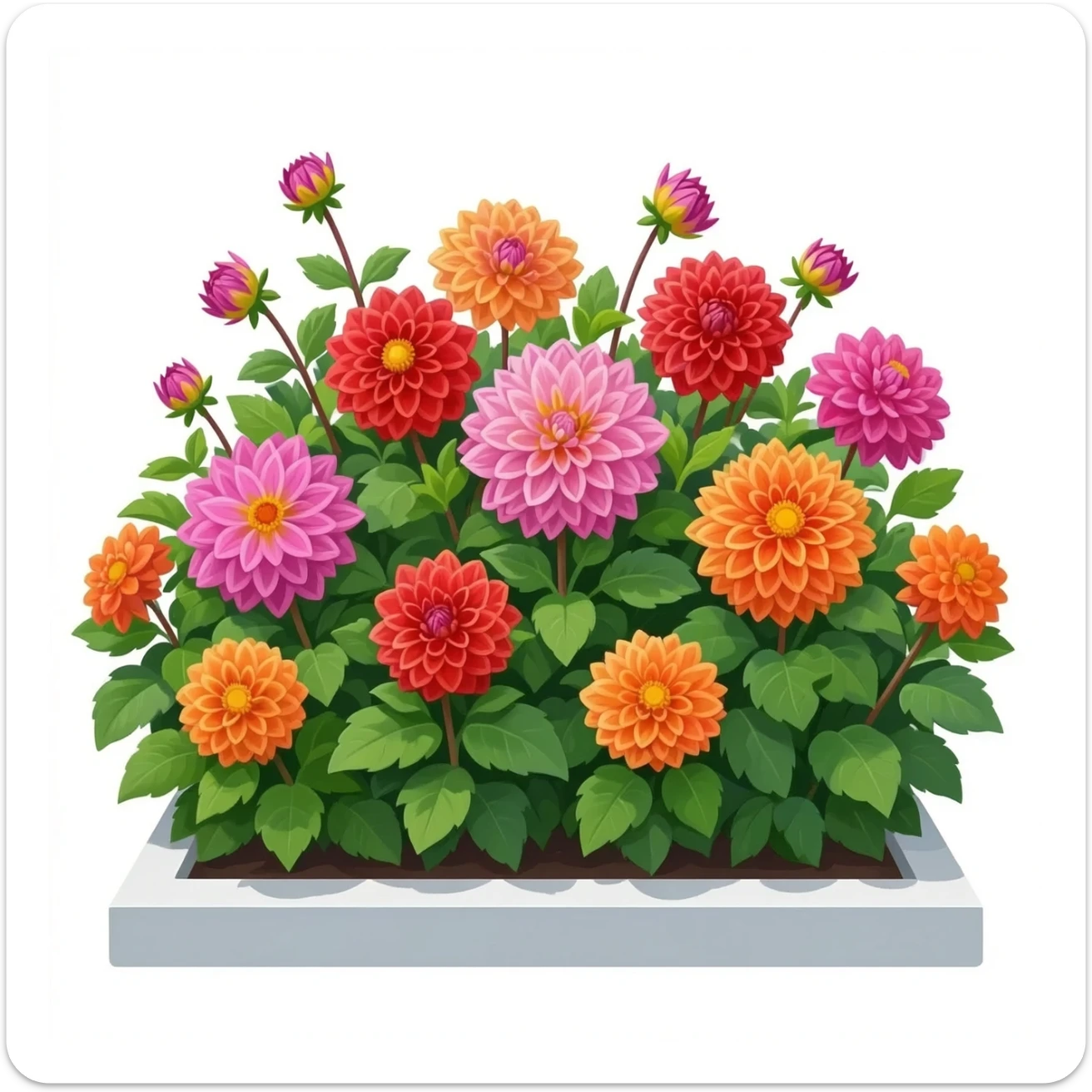 Dahlia flower bed sticker