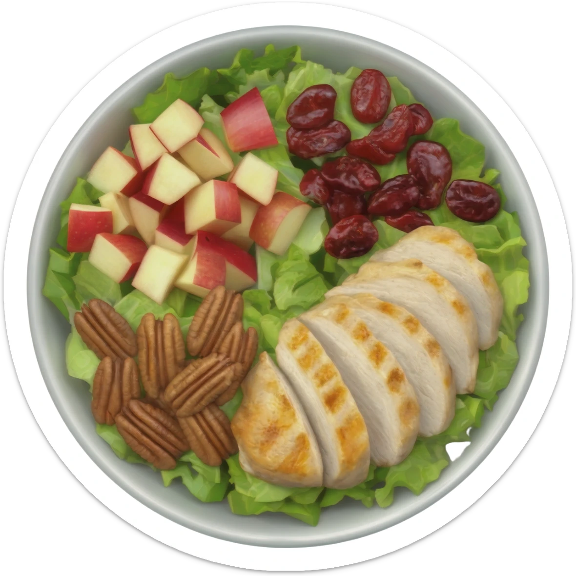 Salad with pecans, grilled chicken, dried cranberries, and apples made with iceberg lettuce sticker