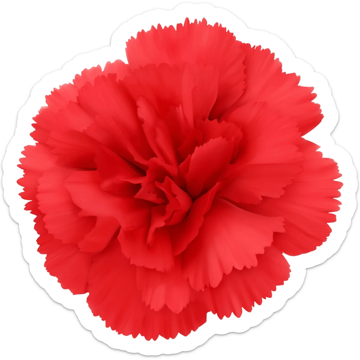 Red carnation sticker