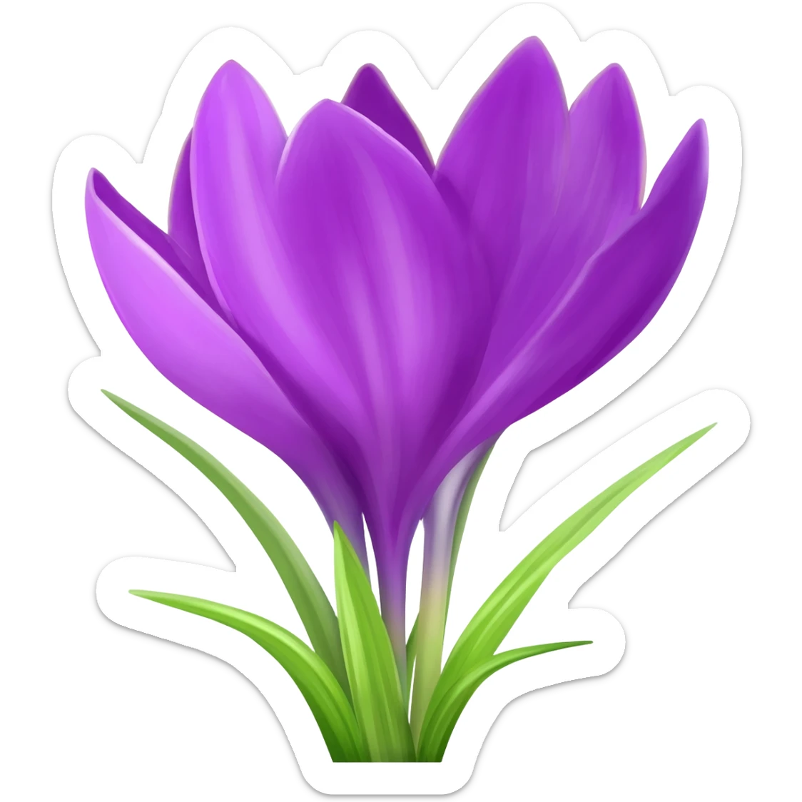 Crocus sticker
