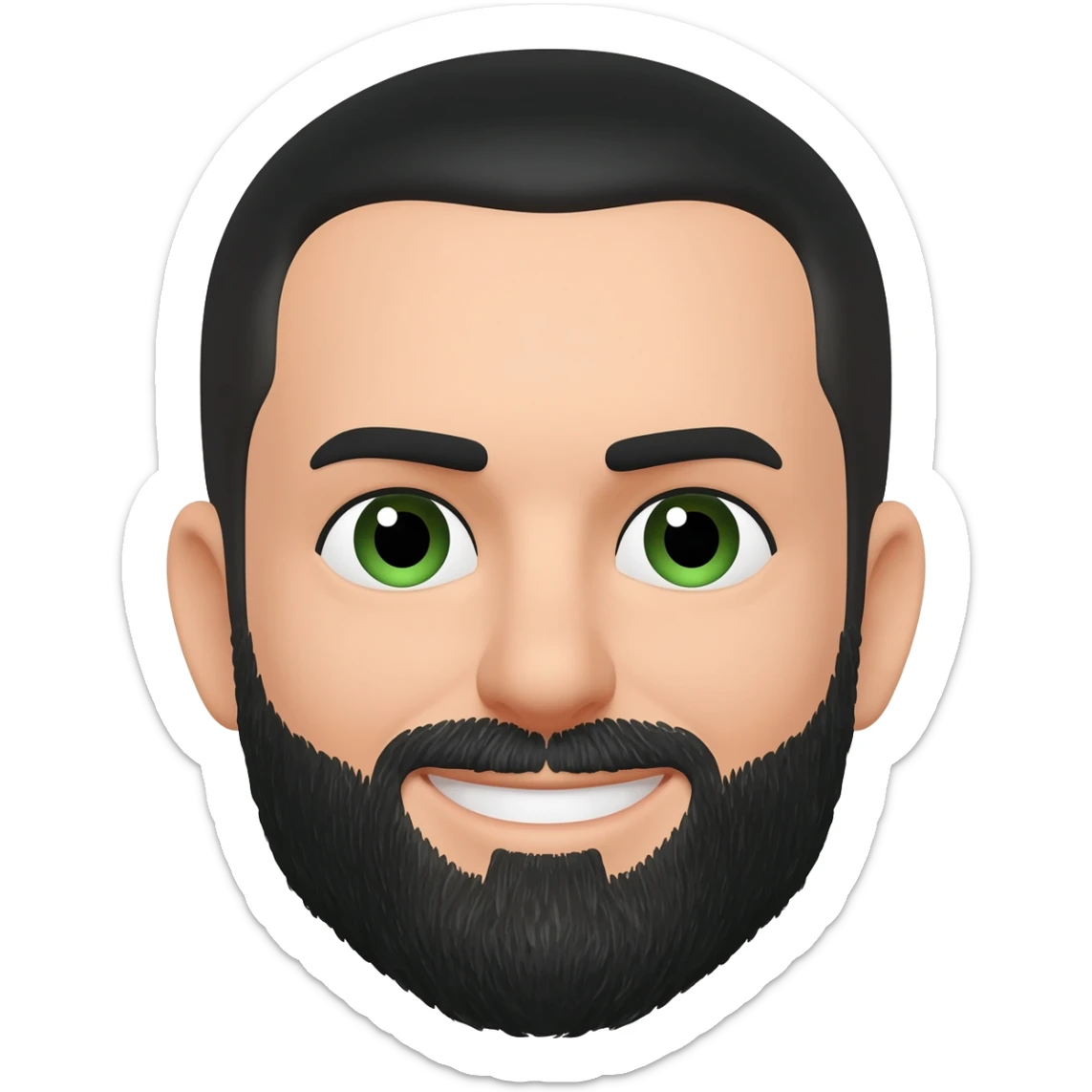 White man with short black hair and black beard with left eyebrow raised high with green eyes square jaw  and smiling sticker