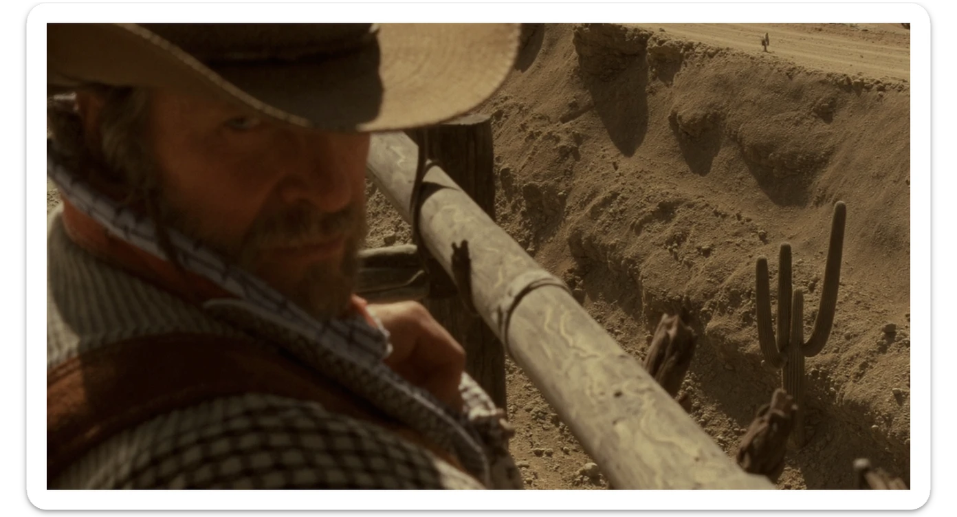 Cinematic , documentary photography, top angle medium shot, cowboy look eye brave, hard light golden hour, desert arizona, shot on IMAX Camera, 80s movie sticker