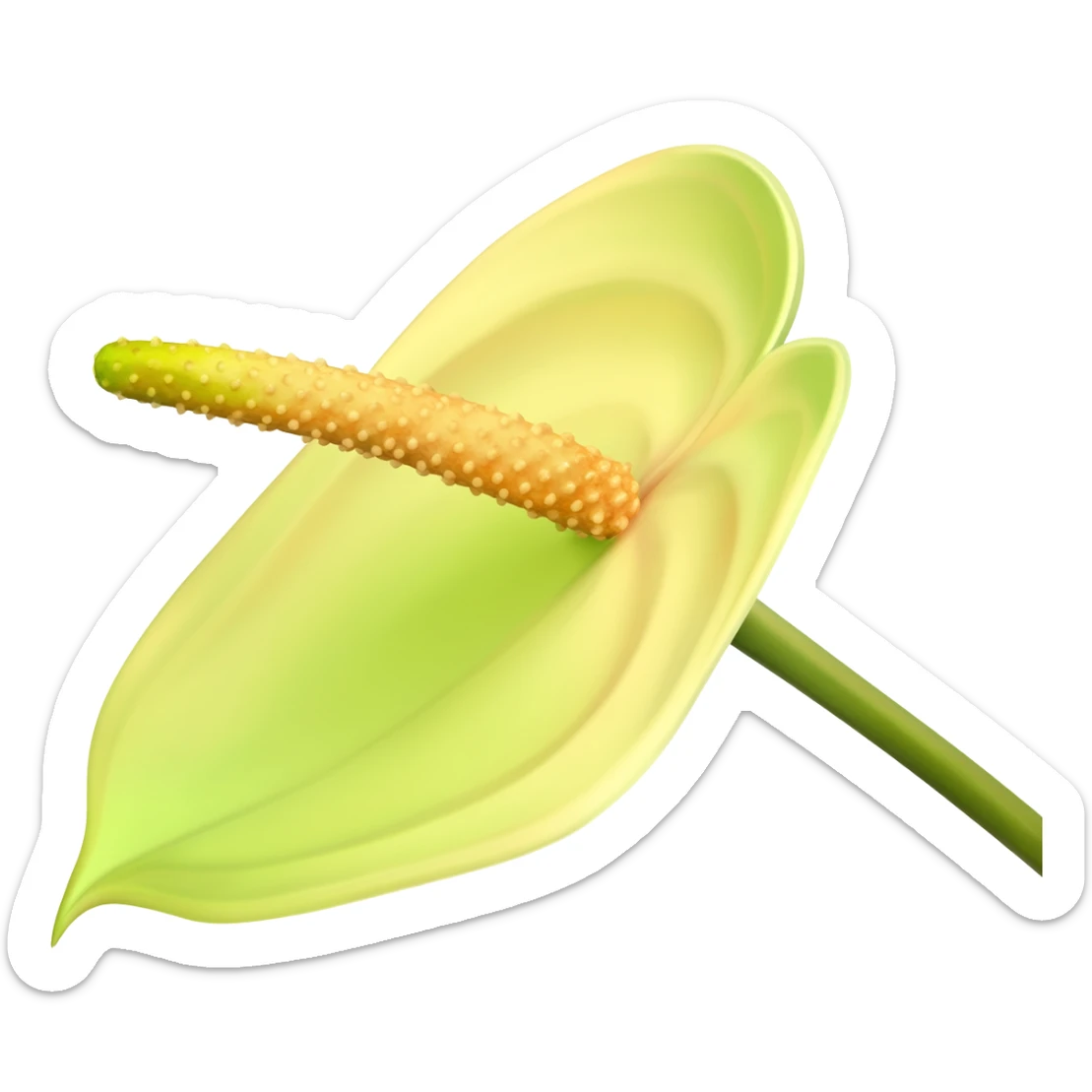 Anthurium andraeanum sticker