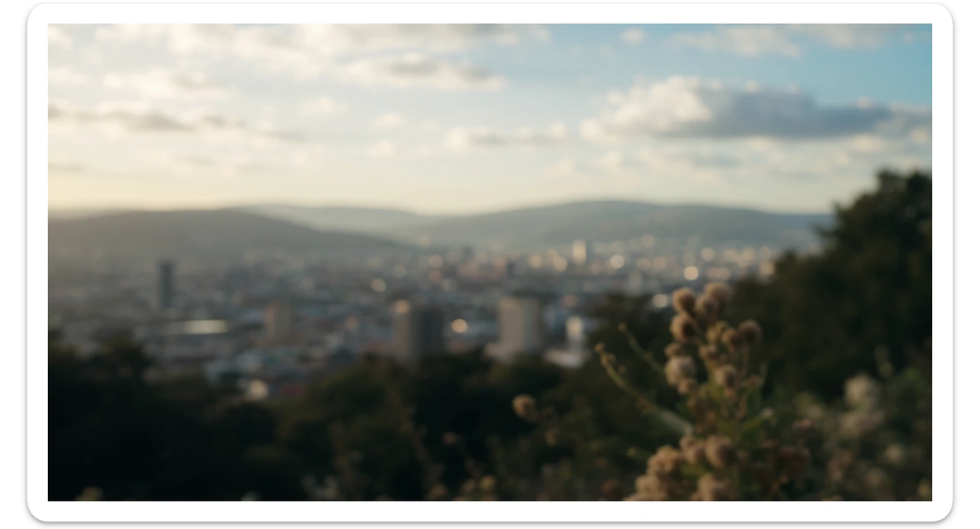 A cinemaatic still of a city, blurred plants in the foreground, shale fly above city sky, rolling hills in the background, cinematic depth of field, layered composition, natural lighting sticker