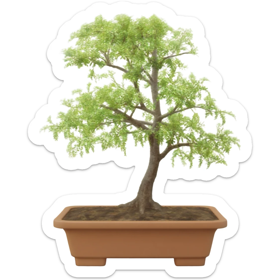 Bonsai tree sticker
