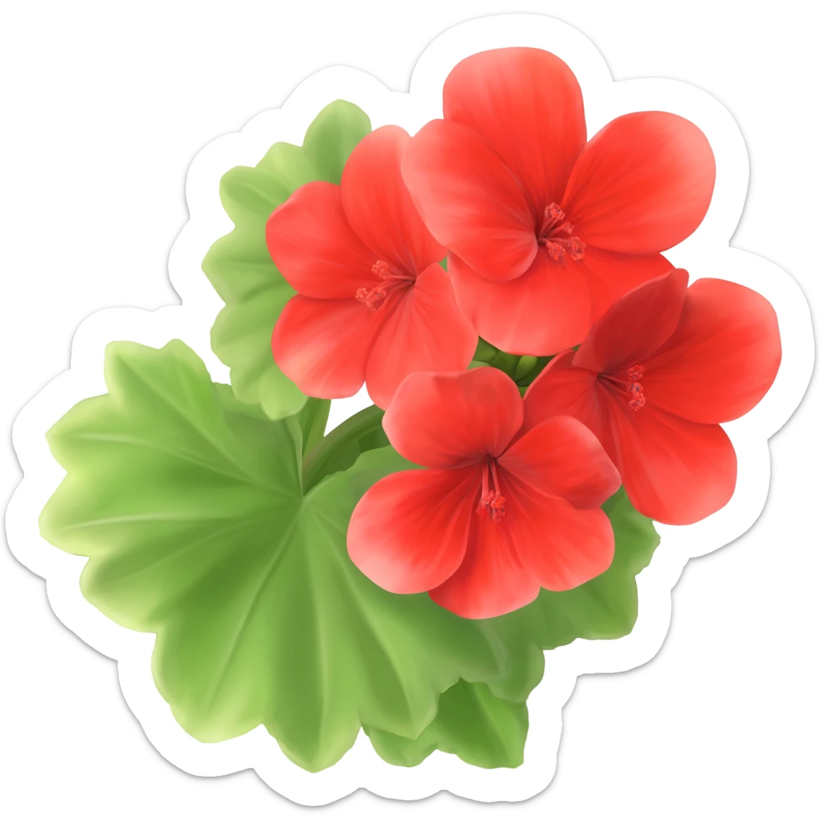 geranium sticker