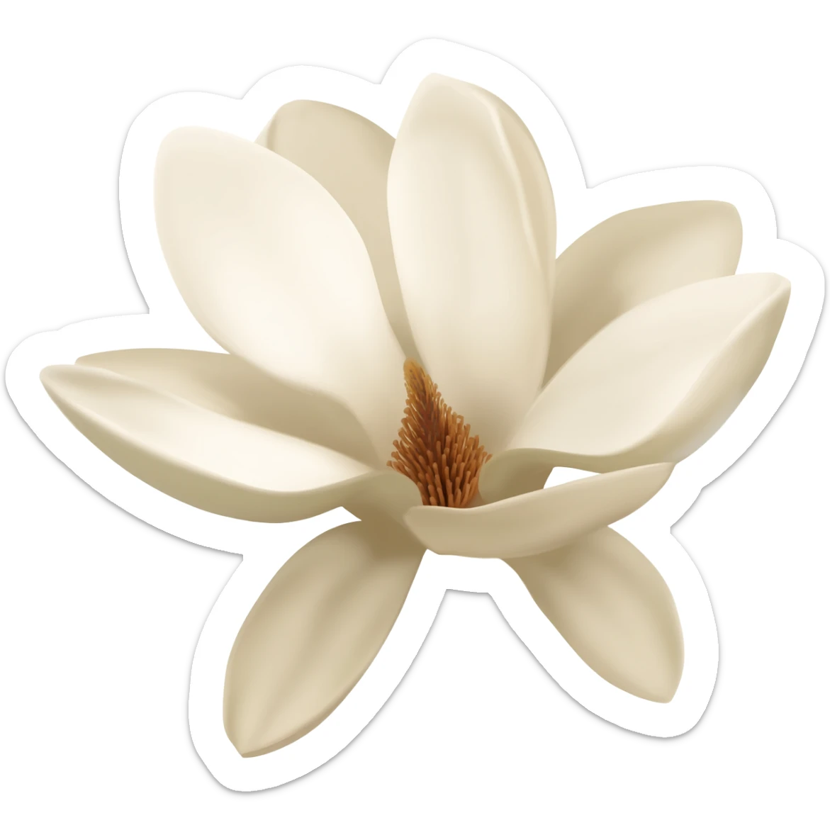 magnolia-flower-with-soft-white-and-light-beige-petals-on-a-plain sticker