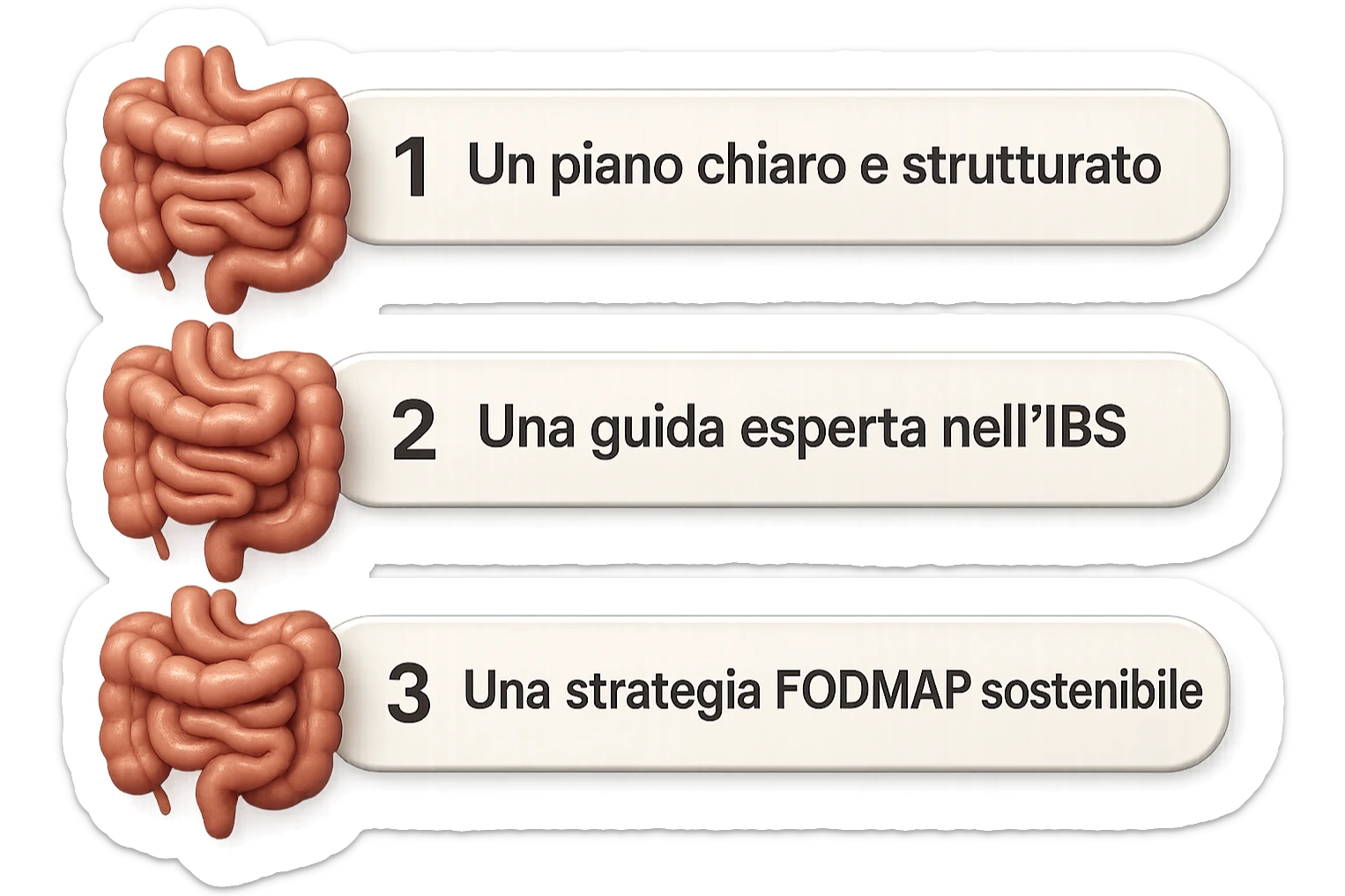 emoji stile iphone di 3 targhette numerate con intestino realistico davanti ad ogni targhetta, le targhette sono:
"1 – Un piano chiaro e strutturato
2 – Una guida esperta nell’IBS
3 – Una strategia FODMAP sostenibile"
, iperrealistico 4k sticker