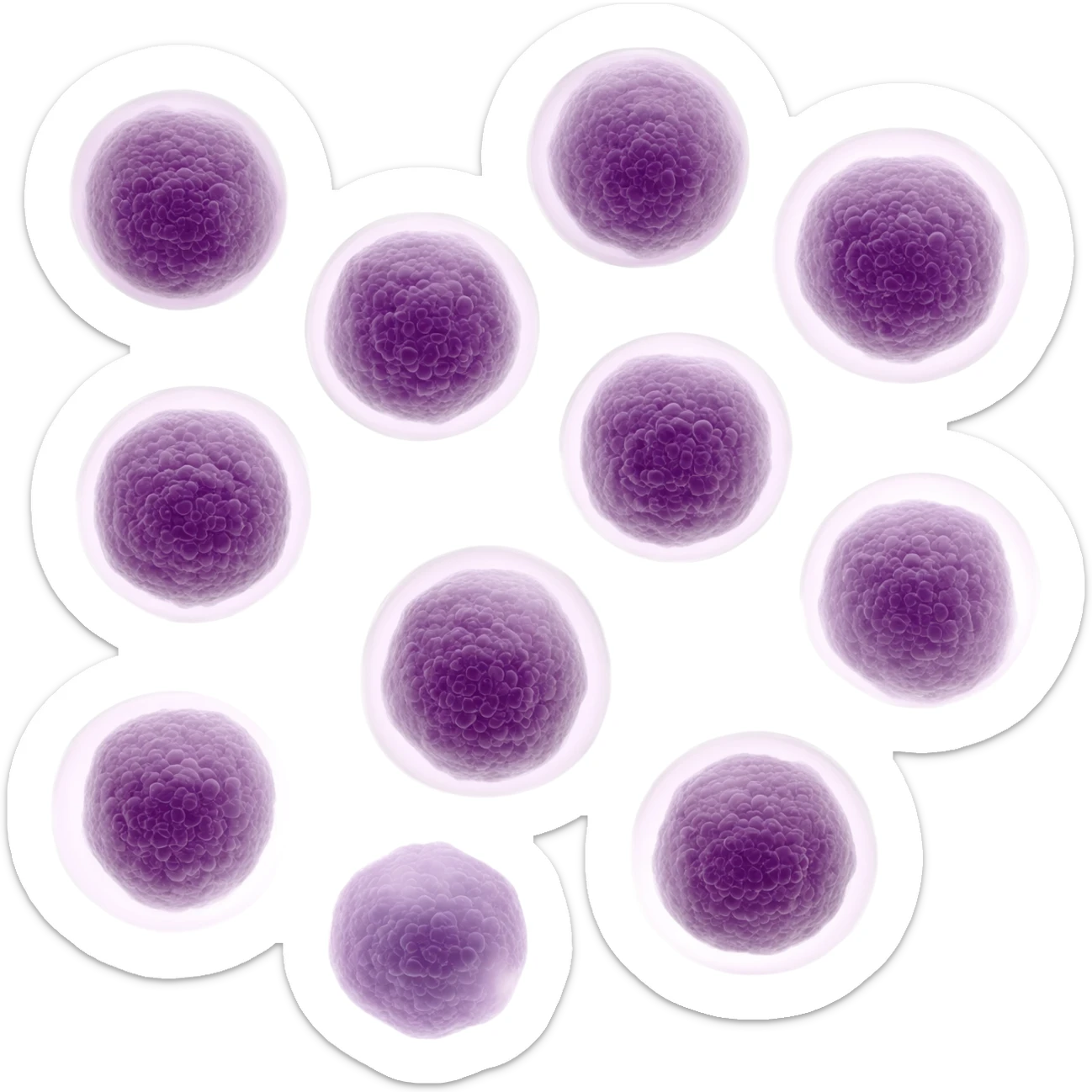 immune support sticker