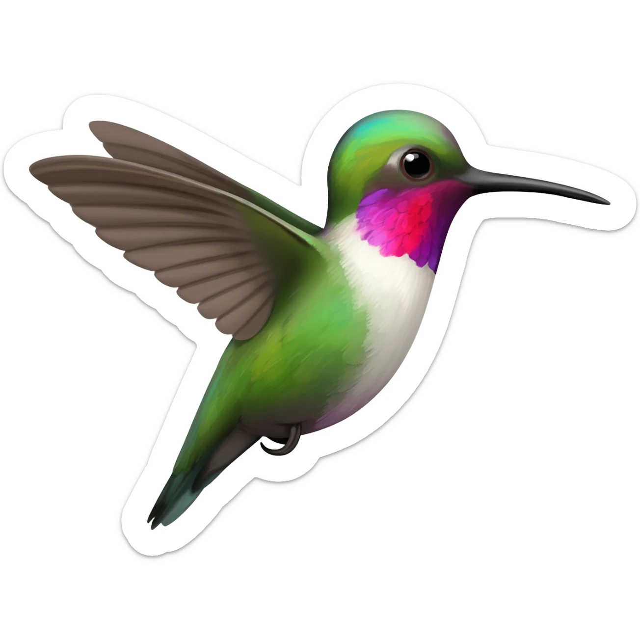 Colibri sticker