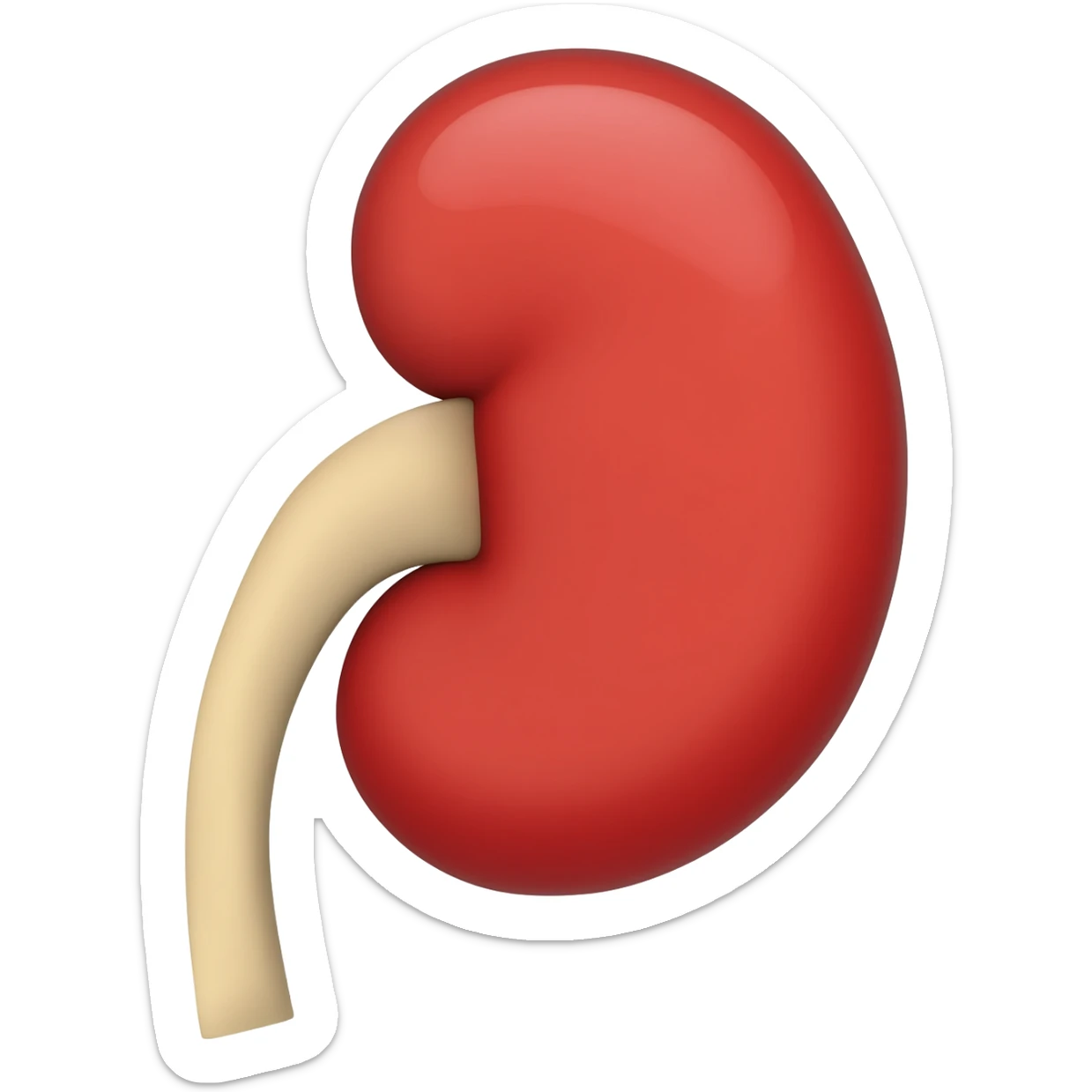 Kidney sticker