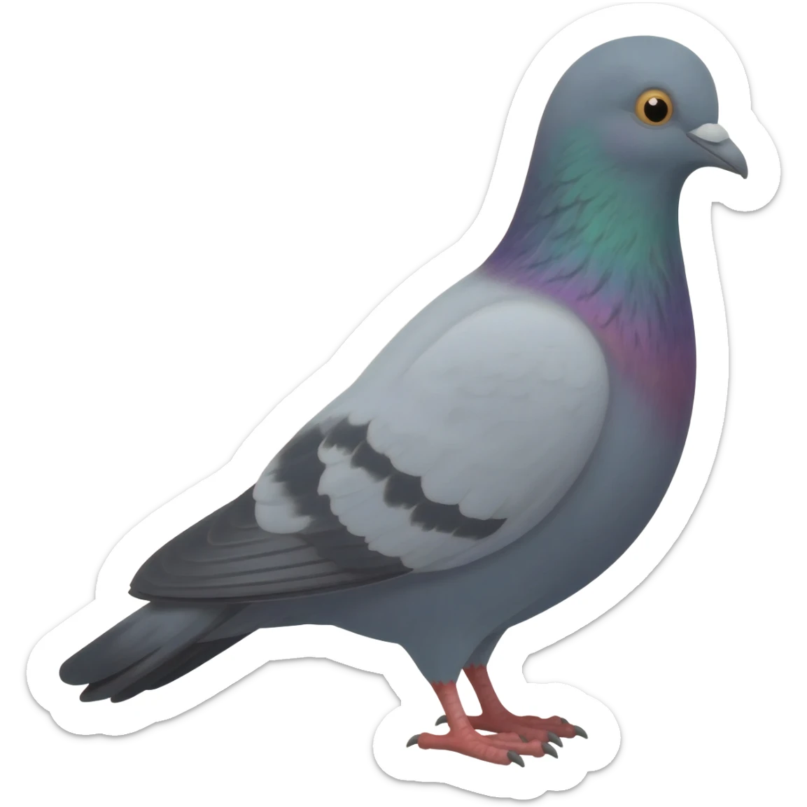 Pigeon sticker