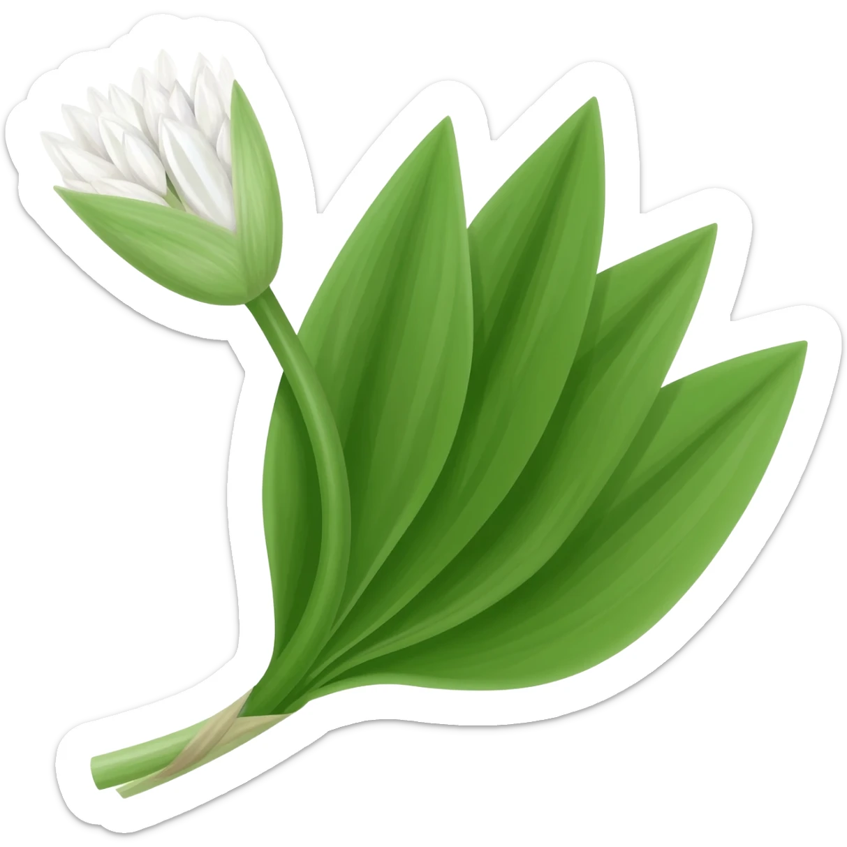 wild garlic sticker