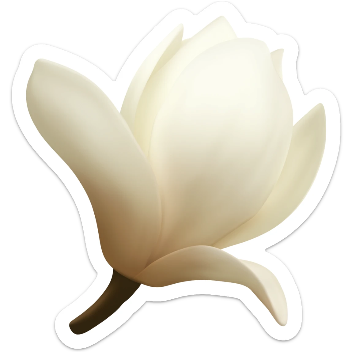 magnolia-flower-with-soft-white-and-light-beige-petals-on-a-plain-white-background,-no-extra-details sticker