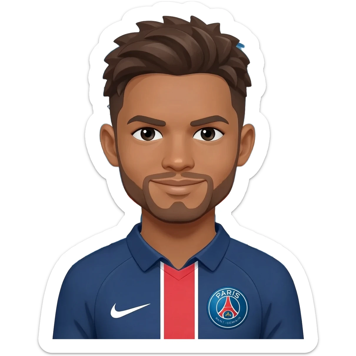 Paris saint Germain sticker