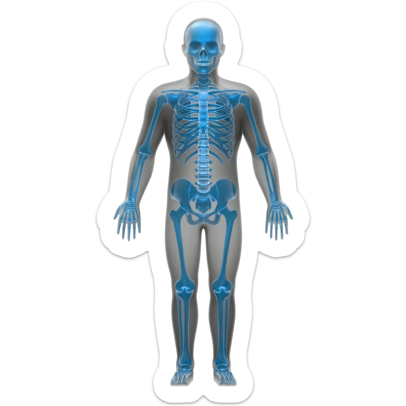 X-Ray sticker
