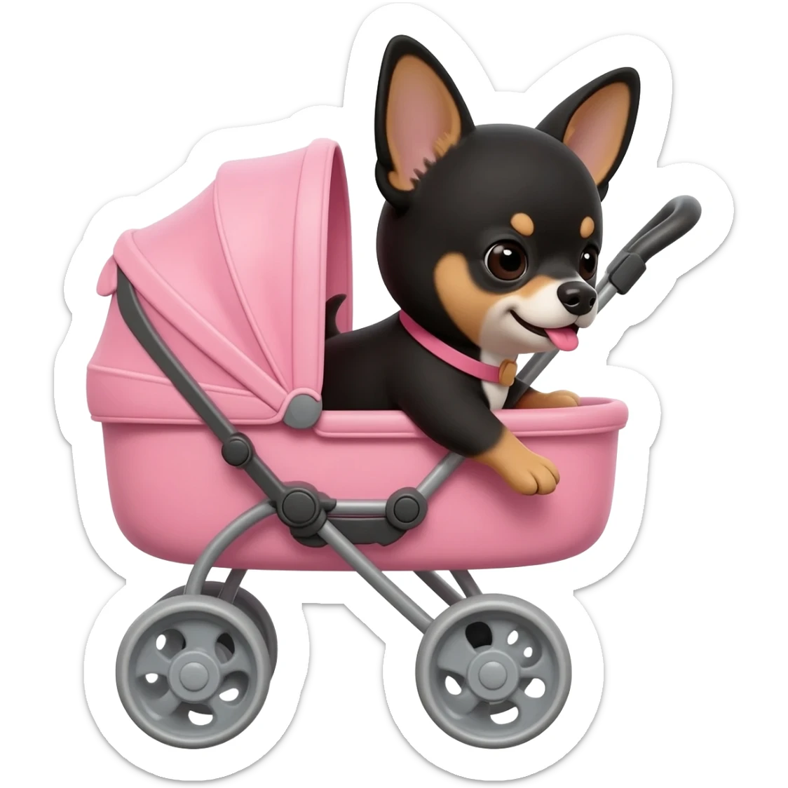 Bébé chihuahua noir marrant poil courut porte une pouscette rose sticker