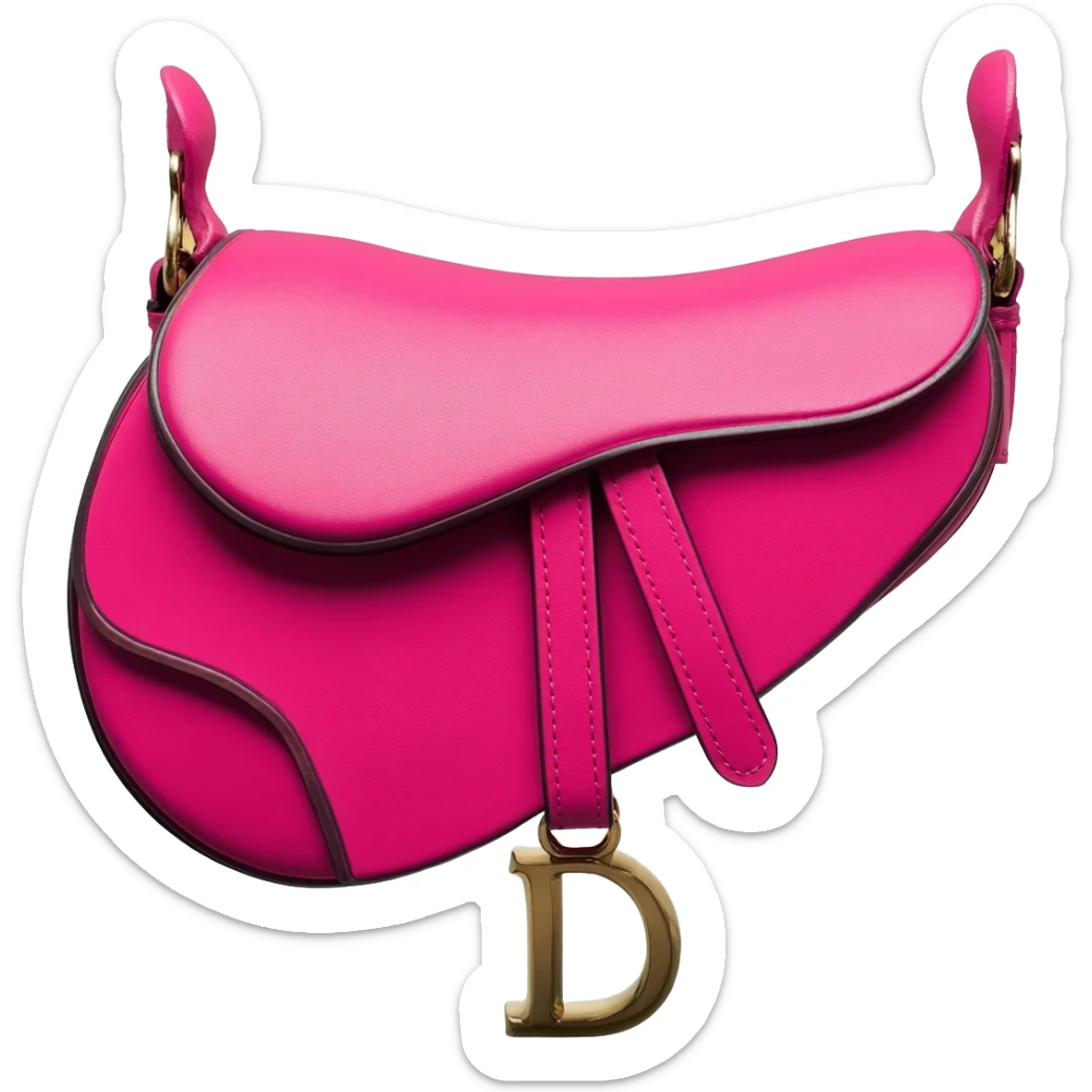 dior pink saddle bag sticker