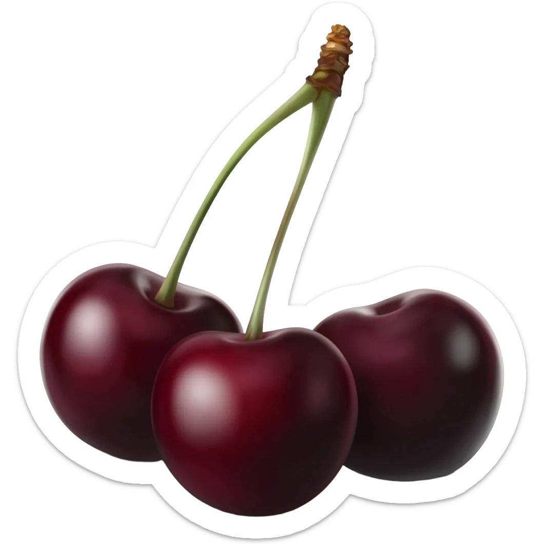 i want realistic black-stemmed dark cherries sticker